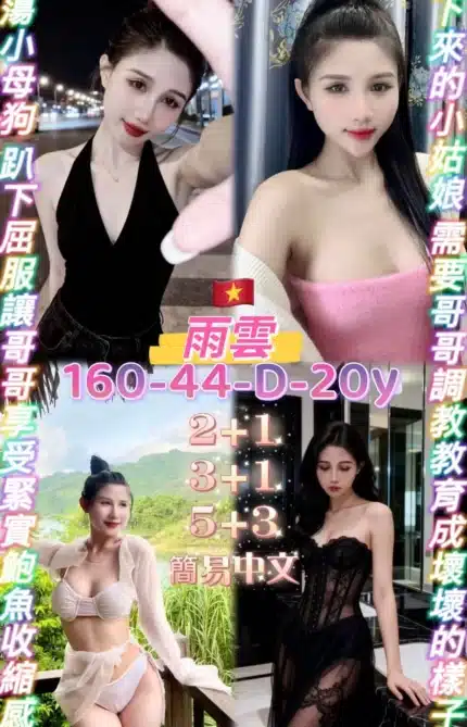 桃園定點茶-雨雲/160/44/20/D