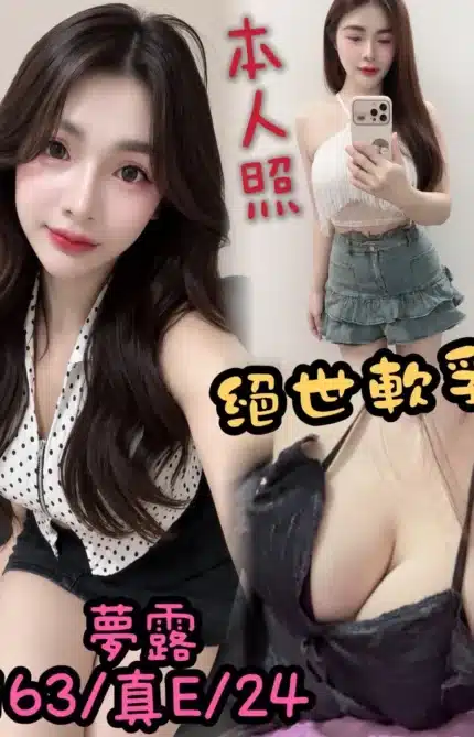台中定點茶-夢露/163/55/24/D
