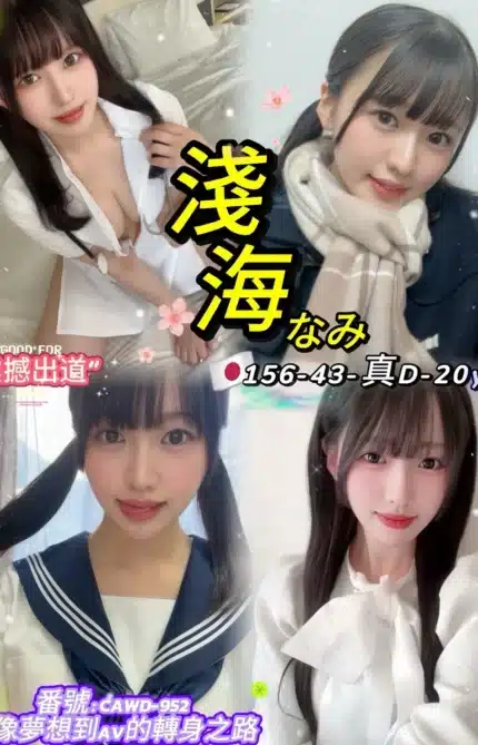 台北定點茶-淺海/156/43/20/D