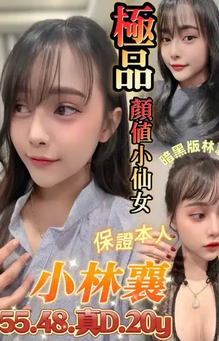 台南定點茶-小林襄/155/48/20/D