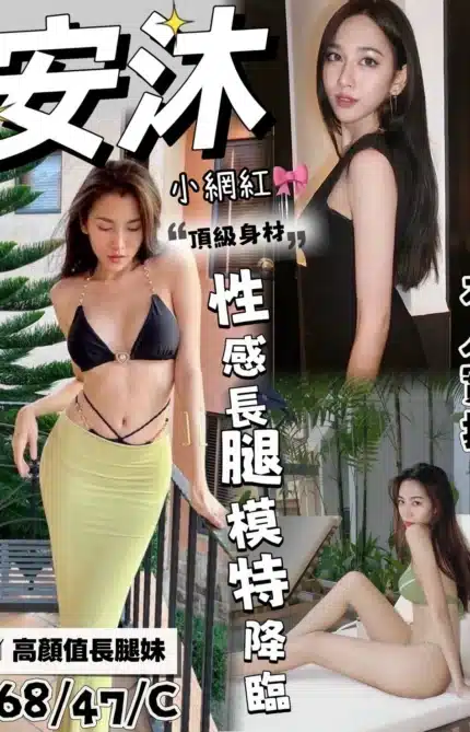 台中定點茶-安沐/168/47/21/C
