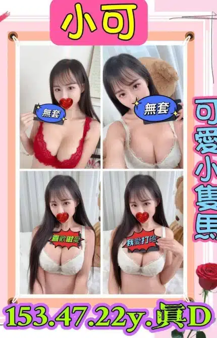 新北定點茶-小可/153/47/22/D