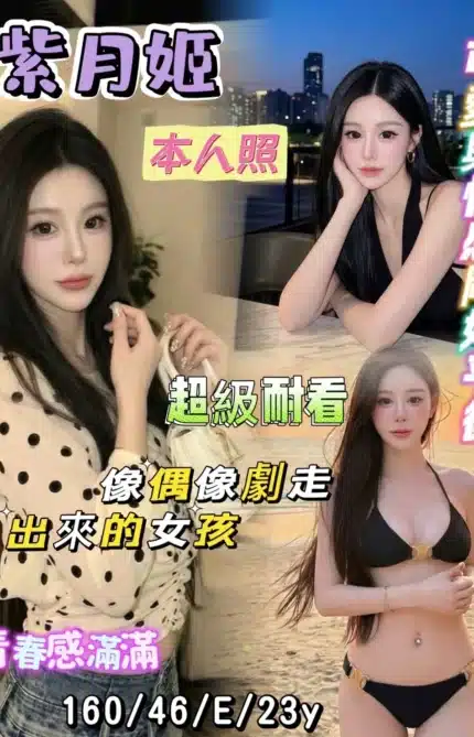 台南定點茶-紫月姬/160/46/23/E