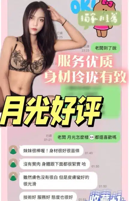 台南定點茶-月光/157/41/22/C