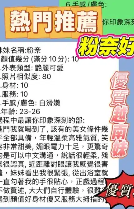 新竹定點茶-粉奈/160/42/22/E