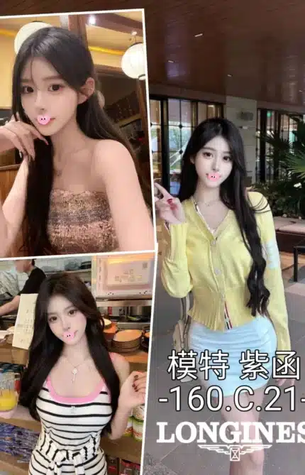 台中外送茶-紫函/160/?/21/C