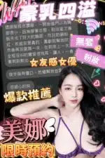 台中定點茶-美娜/158/48/23/H