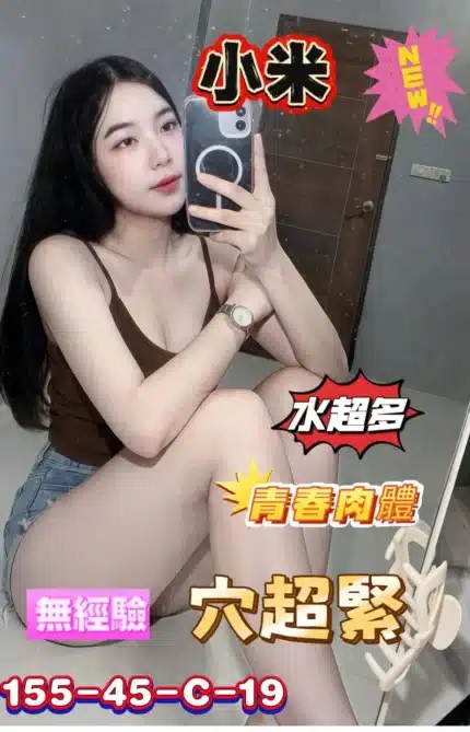 台南定點茶-小米/155/45/19/C
