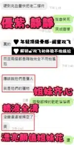 新竹定點茶-優紫/160/44/22/C
