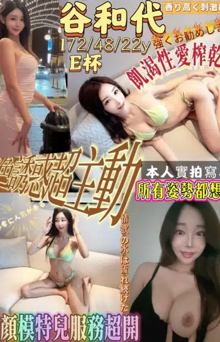 新竹定點茶-谷和代/172/48/22/E