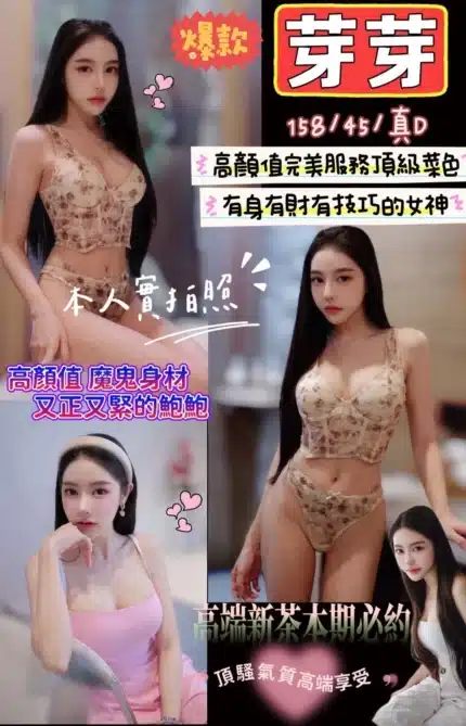 苗栗定點茶-芽芽/158/45/?/D