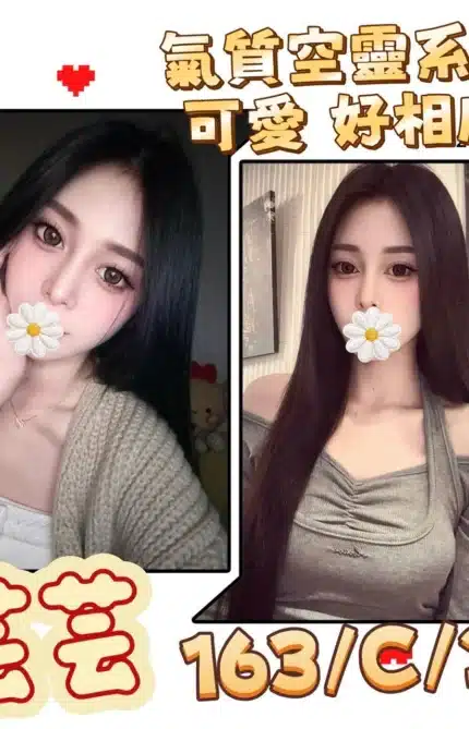 台北外送茶-芸芸/163/?/20/C