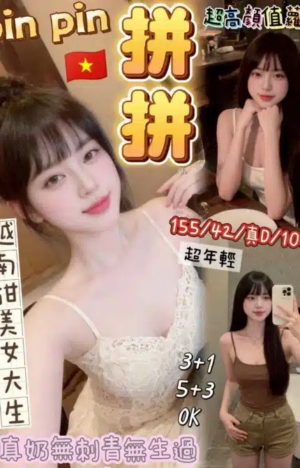 桃園定點茶-拼拼/155/42/?/D