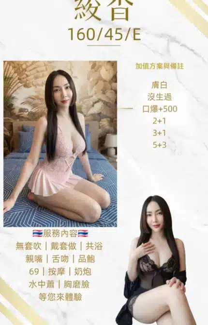 桃園定點茶-綾香/160/45/22/E