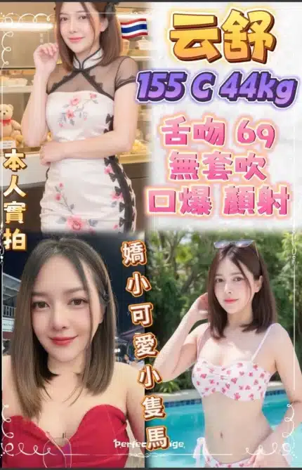 新北定點茶-云舒/155/44/20/C