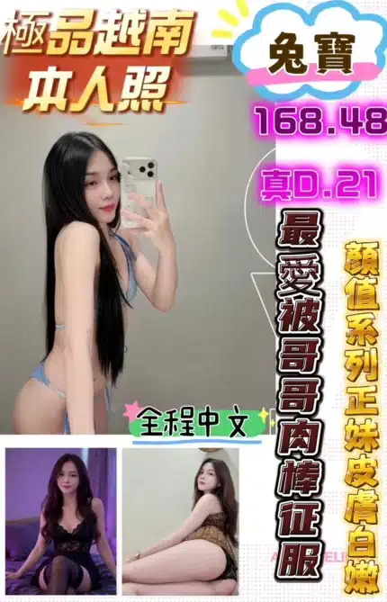 新竹定點茶-兔寶　/168/48/21/D