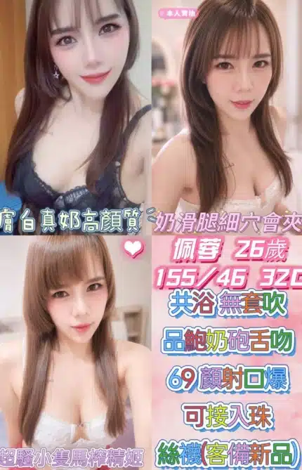 雲林定點茶-佩蓉/155/46/26/C