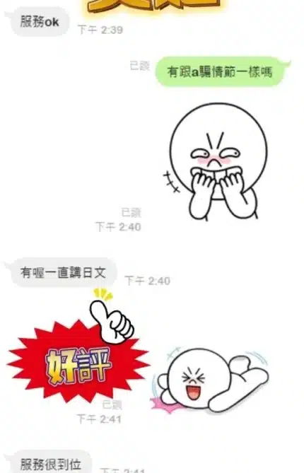 新北定點茶-美姬/156/49/25/D