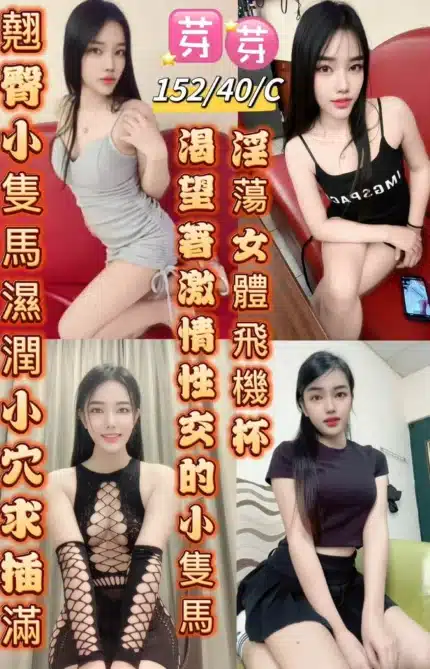 台東定點茶-芽芽/152/40/21/C