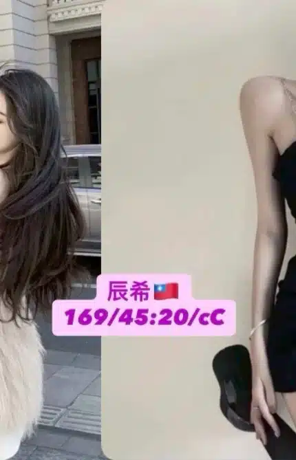 台中外送茶-辰希/169/45/20/C