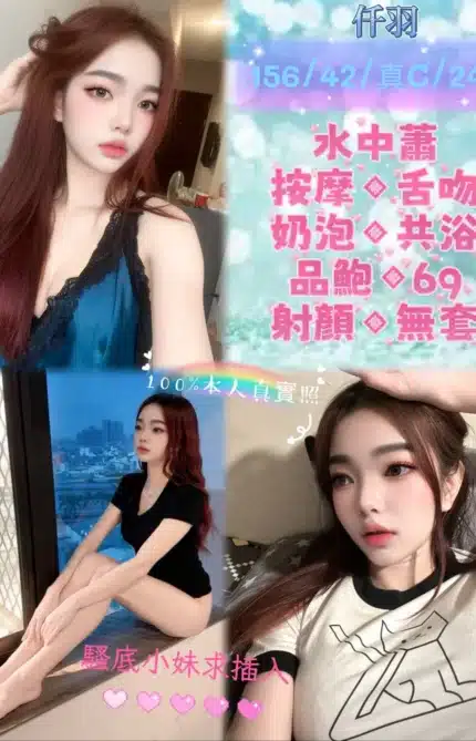 新北定點茶-仟羽/156/42/24/C