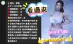 苗栗定點茶-夢娜/160/43/25/D