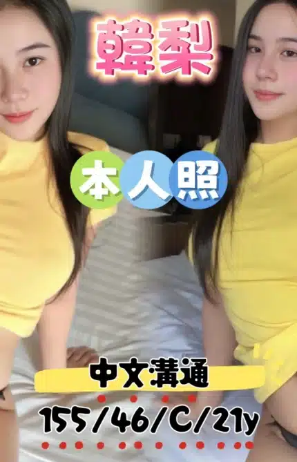 新北定點茶-韓梨/155/46/21/C