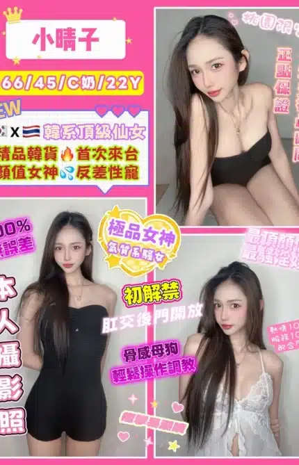桃園定點茶-小晴子/166/45/22/C