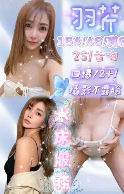 新竹定點茶-羽芹/154/46/25/C