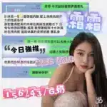 台中定點茶-霜霜/156/43/23/G