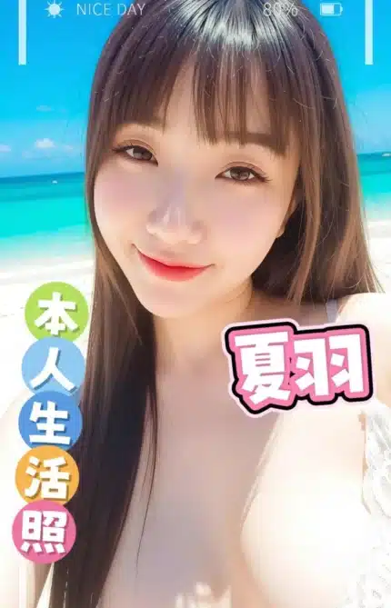 台南定點茶-夏羽/152/43/?/E