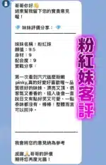 桃園定點茶-粉紅妹/155/40/21/D