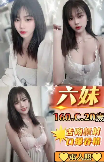 新北定點茶-六妹/160/45/20/C