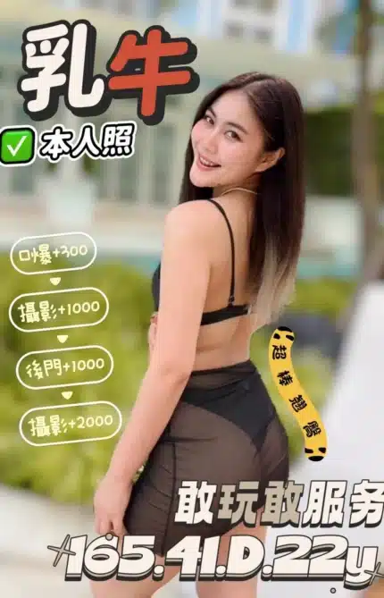 台南定點茶-乳牛/165/41/22/D