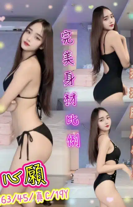 新北定點茶-心願/163/45/19/C