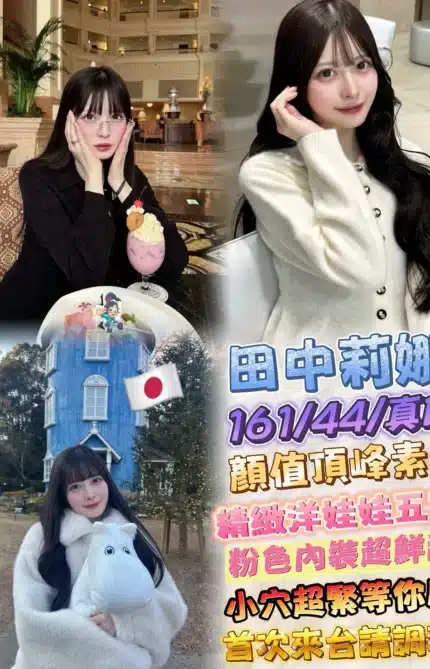 台北定點茶-田中莉娜/161/44/?/D