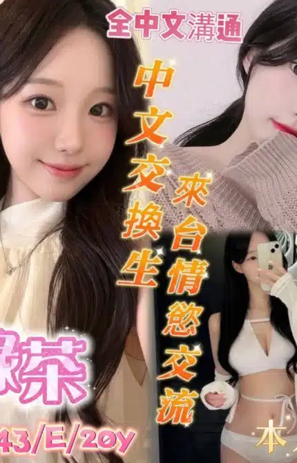 台南定點茶-綠茶/160/43/20/E