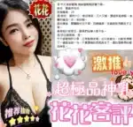 嘉義定點茶-花花/160/48/23/E