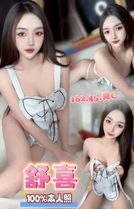 台中定點茶-舒喜/162/45/?/C