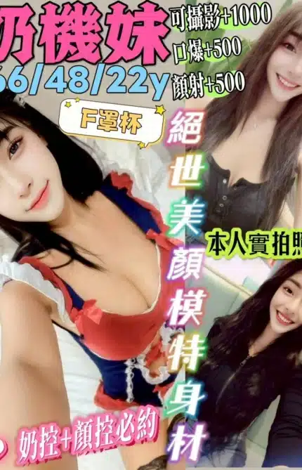 新北定點茶-奶機妹/166/48/22/F