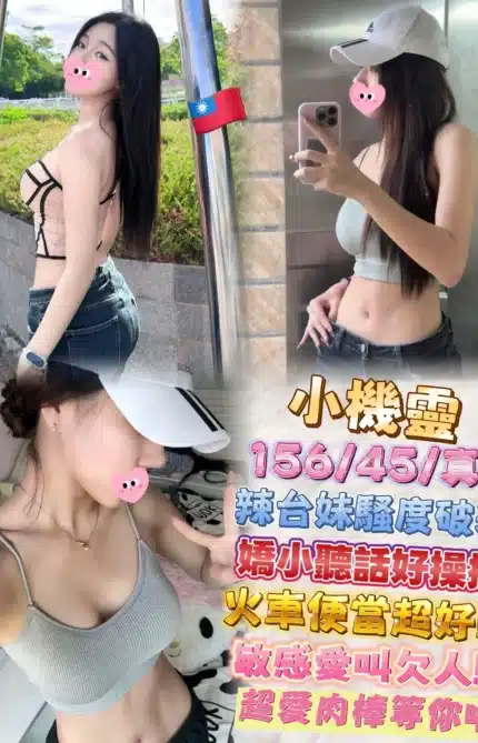 台北定點茶-小機靈/156/45/25/D