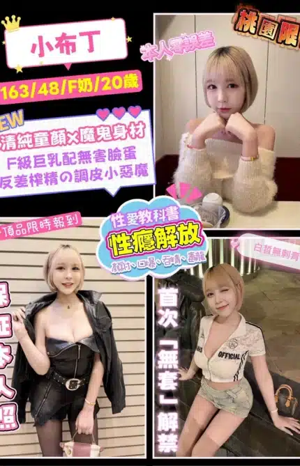 桃園定點茶-小布丁/163/48/20/F