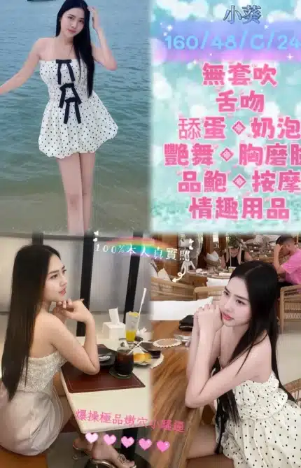 新北定點茶-小葵/160/48/24/C