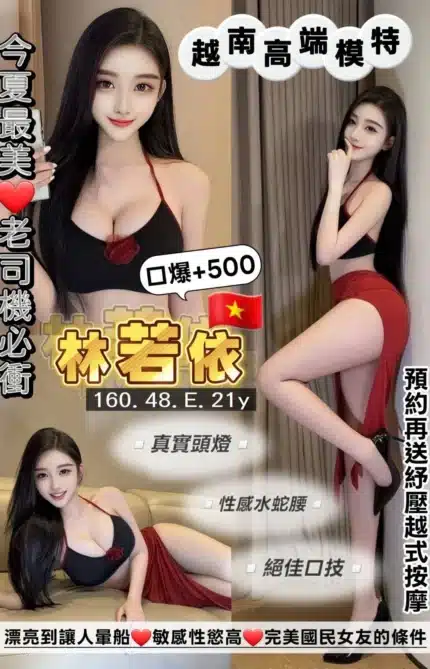 桃園定點茶-林若依/160/48/21/E