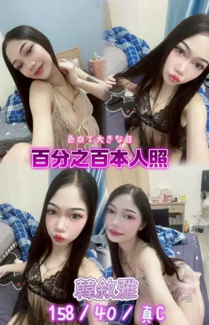 新北定點茶-韓敘雅/158/40/21/C