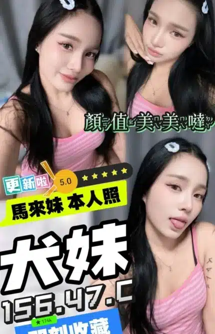 台中定點茶-犬妹/156/47/?/C