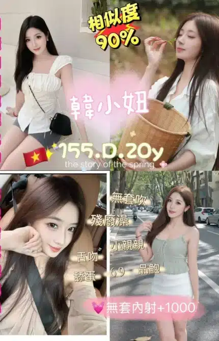 新北定點茶-韓小妞/155/45/20/D