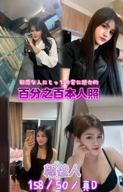 新北定點茶-韓佳人/158/50/25/D