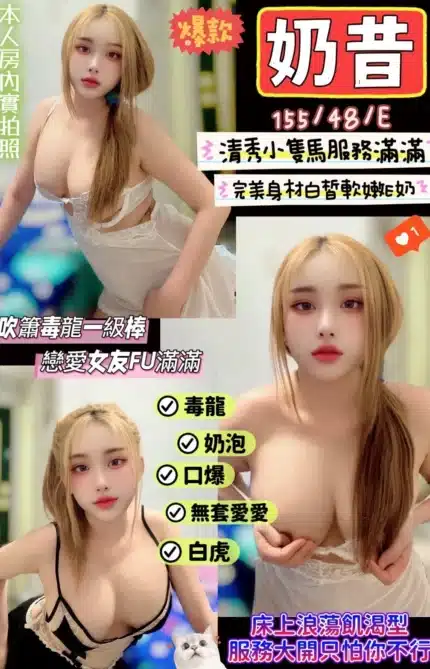 新竹定點茶-奶昔/155/48/?/E