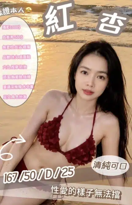新竹定點茶-紅杏/167/50/25/D